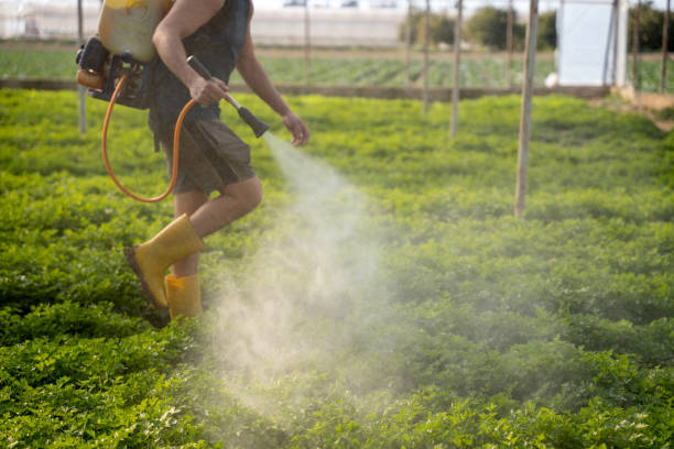 Best Pest Control Treatment  in , ID