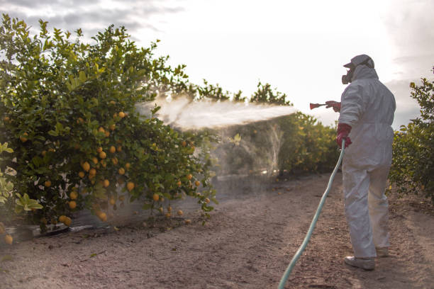 Best Local Pest Control Services  in , ID