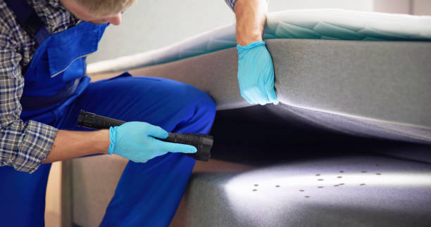 Best Cockroach Control Services  in , ID