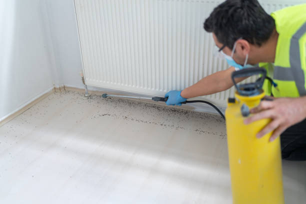 Best Exterminator Services  in , ID